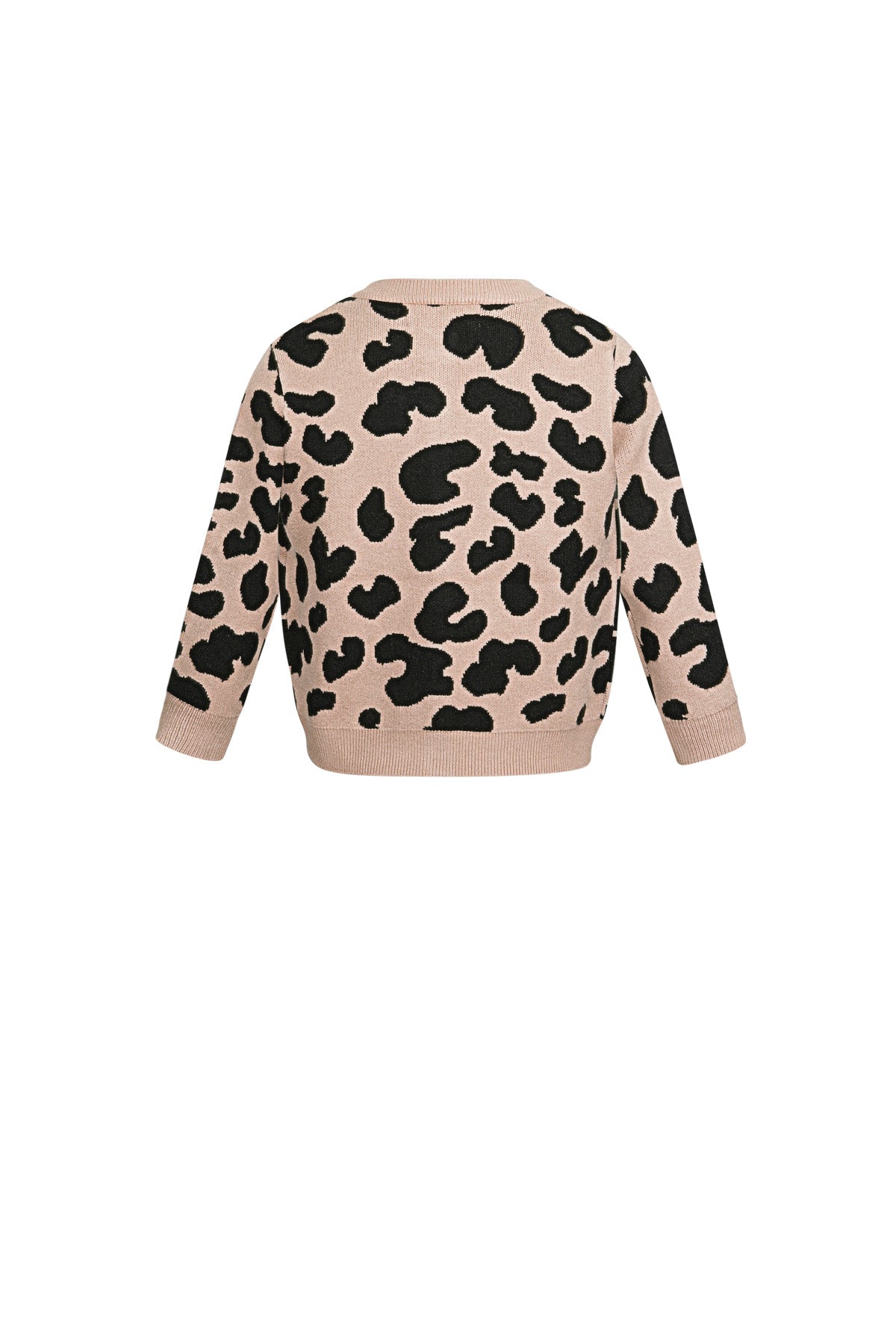 Viscose Gebreide Cardigan Vrouwen Luipaardprint Patroon Stijlvol